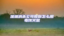 深圳消殺公司教你怎么用毒餌滅鼠