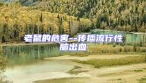 老鼠的危害--傳播流行性腦出血