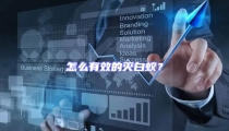 怎么有效的滅白蟻?