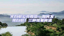 滅白蟻公司教您:如何發(fā)現(xiàn)白蟻?三種現(xiàn)象簡述
