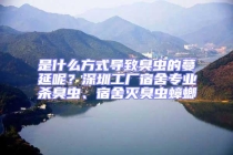 是什么方式導(dǎo)致臭蟲的蔓延呢？深圳工廠宿舍專業(yè)殺臭蟲、宿舍滅臭蟲蟑螂