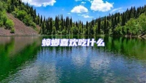 蟑螂喜歡吃什么