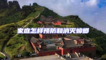 家庭怎樣預(yù)防和消滅蟑螂