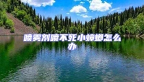 噴霧劑噴不死小蟑螂怎么辦