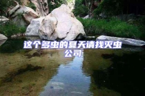 這個多蟲的夏天請找滅蟲公司