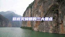 徹底滅蟑螂的三大要點(diǎn)