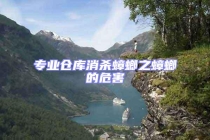 專業倉庫消殺蟑螂之蟑螂的危害