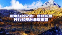 深圳白蟻滅治:裝修前進行白蟻預防非常重要
