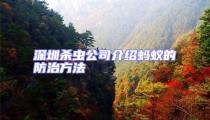 深圳殺蟲公司介紹螞蟻的防治方法