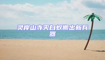 靈岸山寺滅白蟻搬出新兵器