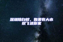 深圳除白蟻，如果有大水蟻飛進你家