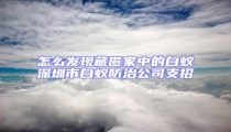 怎么發現藏匿家中的白蟻深圳市白蟻防治公司支招