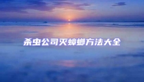 殺蟲公司滅蟑螂方法大全