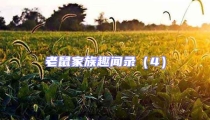 老鼠家族趣聞錄(4)