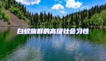 白蟻?zhàn)迦旱母呒?jí)社會(huì)習(xí)性