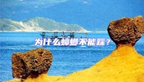 為什么蟑螂不能踩?