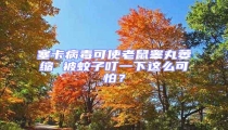 塞卡病毒可使老鼠睪丸萎縮 被蚊子叮一下這么可怕?