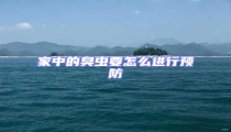 家中的臭蟲要怎么進行預防