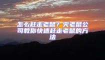 怎么趕走老鼠?滅老鼠公司教你快速趕走老鼠的方法