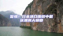 警惕!日本進口廢紙中截獲澳洲大蟑螂