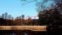 工廠殺蟲