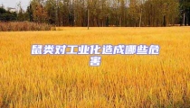 鼠類對工業化造成哪些危害