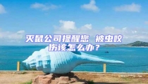 滅鼠公司提醒您 被蟲咬傷該怎么辦?