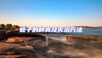 蚊子的種類及滅治方法