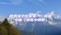 世界級衛(wèi)生害蟲——德國小蠊(德國小蟑螂)