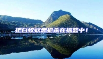 把白蟻蟻患扼殺在搖籃中!