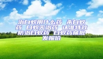 治白蟻用什么藥 殺白蟻藥 白蟻滅治藥 認(rèn)準(zhǔn)特效防治白蟻藥 白蟻藥械批發(fā)報價