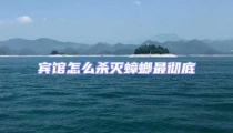 賓館怎么殺滅蟑螂最徹底