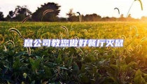鼠公司教您做好餐廳滅鼠