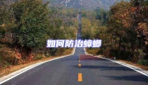 如何防治蟑螂