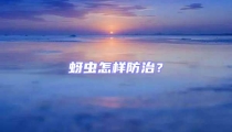 蚜蟲怎樣防治？
