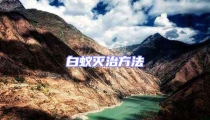 白蟻滅治方法