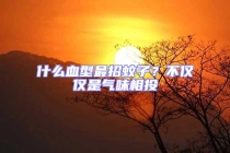 什么血型最招蚊子？不僅僅是氣味相投