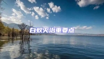 白蟻滅治重要點