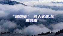 “鼠藥蛋” 被人買走,全城尋蛋