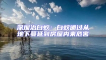 深圳治白蟻:白蟻通過從地下蔓延到房屋內來危害