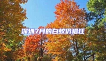 深圳7月的白蟻仍猖狂