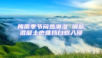梅雨季節(jié)悶熱潮濕 鋼筋混凝土也難擋白蟻入侵