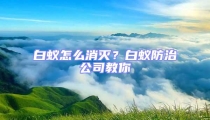 白蟻怎么消滅?白蟻防治公司教你