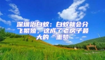 深圳治白蟻:白蟻就會分飛繁殖,這成了老房子最大的“噩夢