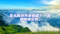 怎么高效滅殺老鼠?「深圳除蟲公司」