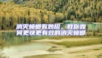 消滅蟑螂有妙招,教你如何更快更有效的消滅蟑螂
