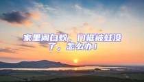 家里鬧白蟻,門框被蛀沒了,怎么辦!