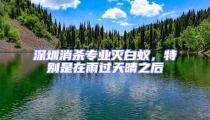 深圳消殺專業滅白蟻,特別是在雨過天晴之后
