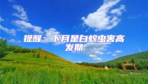 提醒:下月是白蟻蟲害高發期