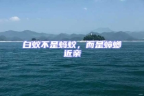 白蟻不是螞蟻，而是蟑螂近親